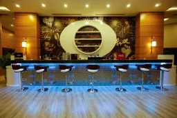 XORIA DELUXE HOTEL Bars