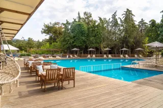 ZOE HOTEL Pools & Beach